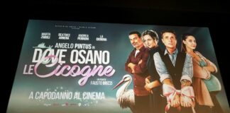 Pintus debutta al cinema con “Dove osano le cicogne”