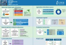 Settore agroalimentare si conferma chiave dell’economia