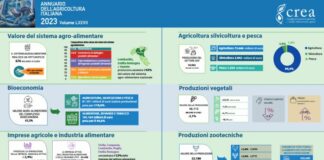 Settore agroalimentare si conferma chiave dell’economia