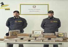 Sequestro record di cocaina al porto di Olbia, arrestato corriere