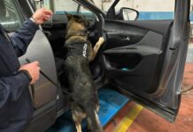 Sequestrati 28 chili di droga tra Roma e provincia, 3 arresti