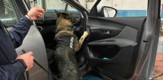 Sequestrati 28 chili di droga tra Roma e provincia, 3 arresti