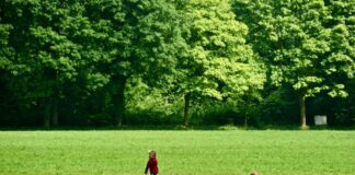 Parco di Monza, Beduschi “2,6 milioni per il bosco dell’autodromo”