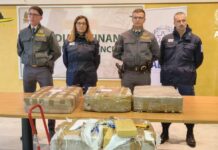 Sequestrati al porto di Genova oltre 2 quintali e mezzo di cocaina