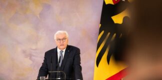 Steinmeier scioglie il Bundestag, Germania al voto il 23 febbraio