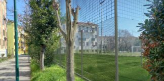 Sacca Fisola, ok a progetto per un nuovo campo di allenamento