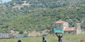 In Toscana rinnovato protocollo contro il caporalato in agricoltura