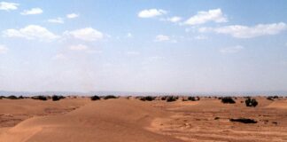 Il Consiglio di Sicurezza dell’Onu riconosce la sovranità del Marocco sul Sahara