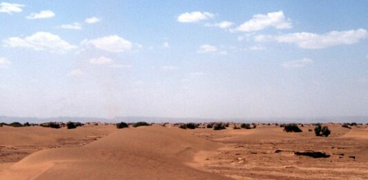 Sahara, Austria reiterates support for Moroccan autonomy plan