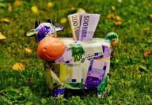 5 suggerimenti per investire i propri risparmi salvadanaio a forma di mucca