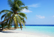 3 destinazioni perfette per trascorrere il Natale in spiaggia spiaggia delle Maldive con palma