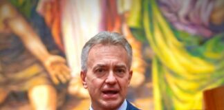 Emergenza cinghiali in Calabria, approvato piano straordinario regionale