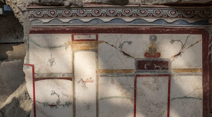 Il 5 gennaio torna la #domenicalmuseo