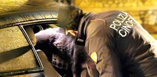 Stroncato traffico di droga a Caltanissetta, 8 misure cautelari