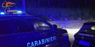 Uccidono padre e nascondono cadavere, arrestati 2 fratelli nel reggino
