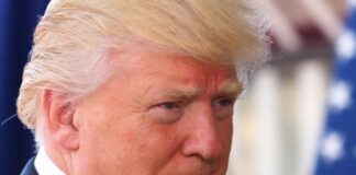 Medio Oriente, Trump “Serve un piano per ripulire Gaza”