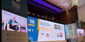 Mattei Plan, Italy supports the “Mission 300” programme