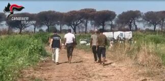 Corruzione e immigrazione clandestina, 36 arresti in Campania