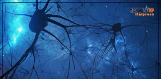 Curiosità e attività fisica, ecco come tenere “giovane” il cervello