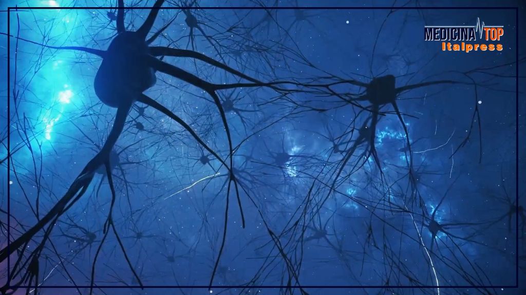 Curiosità e attività fisica, ecco come tenere “giovane” il cervello Curiosità e attività fisica, ecco come tenere “giovane” il cervello