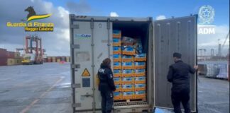 Blitz al porto di Gioia Tauro, sequestrati 27 chili di cocaina