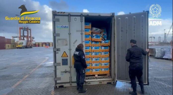 Blitz al porto di Gioia Tauro, sequestrati 27 chili di cocaina