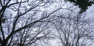 A Scampia sequestrati locali utilizzati per il riciclaggio di rifiuti speciali