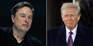 Constitution vs common sense? Trump scatena Musk