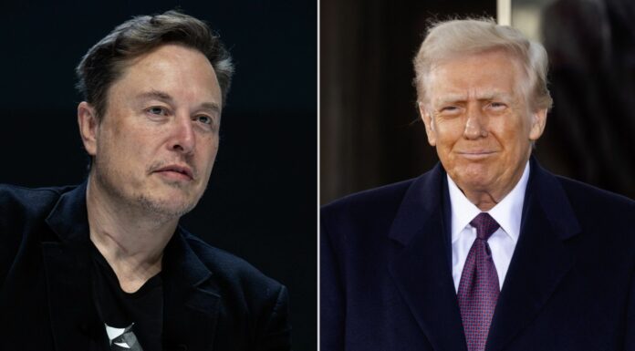 Constitution vs common sense? Trump scatena Musk