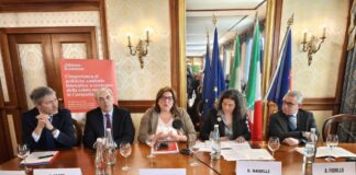 Salute mentale, Campania “laboratorio” di politiche sanitarie innovative