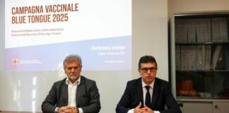 Blue Tongue. Vaccinazioni a tappeto a partire dai primi di marzo