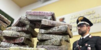 Napoli, sequestro record di oltre 80 kg di cocaina. Due in manette
