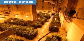 Alessandria, sequestrate 1300 piantine di cannabis in albergo in disuso