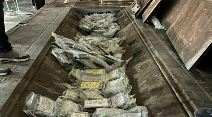 Gioia Tauro, polizia sequestra 137 kg di cocaina