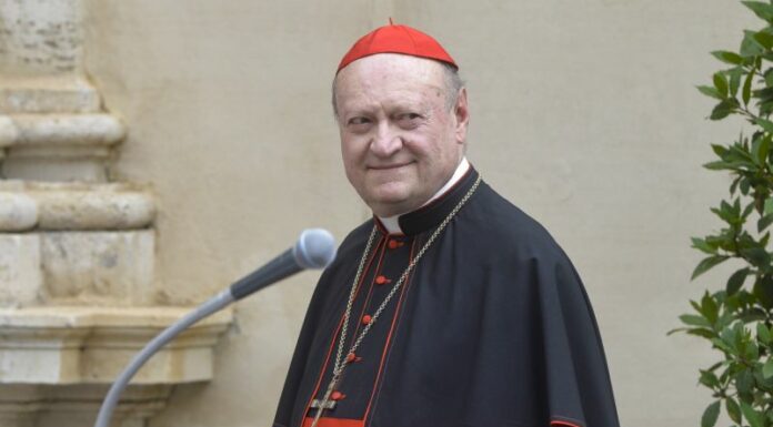 Cardinale Ravasi “Dimissioni del Papa? Potrebbe farlo”