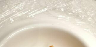 L’associazione cuochi di Palermo trionfa al contest di Rimini