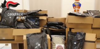 Blitz contro il narcotraffico, 12 arresti e 17 fermi