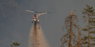 Toscana, accordo da 1,8 milioni per la lotta agli incendi