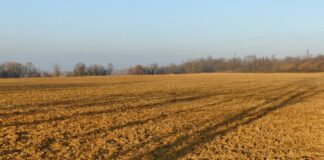 Tribunale Roma annulla ingiunzione di pagamento Agea da 935 mila euro