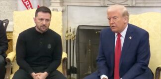 Trump attacca Zelensky alla Casa Bianca “Stai scommettendo sulla terza guerra mondiale” VIDEO