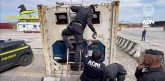 Blitz nel porto di Gioia Tauro, sequestrati oltre 780 chili di cocaina