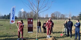 Suzuki pianta oltre 60 alberi davanti all’impianto giovanili del Toro
