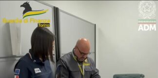 Sequestrati all’aeroporto Pertini di Torino 16 kg di cocaina