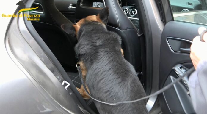 Controlli antidroga a Messina, sequestrati 2 kg cocaina e 40 kg hashish