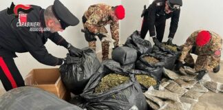 Più di 30 kg di marijuana nascosti in casa nella Locride, un arresto