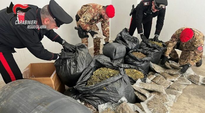 Più di 30 kg di marijuana nascosti in casa nella Locride, un arresto