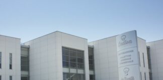 Ladisa, nel 2024 ricavi e utile netto in crescita