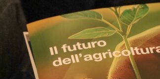 Il futuro dell’agricoltura passa dalla rigenerazione