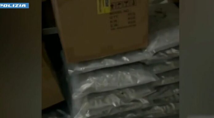 Torino, maxi sequestro stupefacenti. Oltre 110 kg di marijuana e hashish