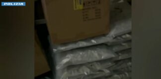Torino, maxi sequestro stupefacenti. Oltre 110 kg di marijuana e hashish